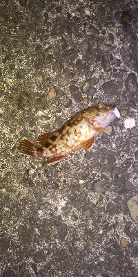 こんなはずでは…