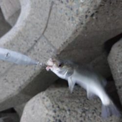 雨の中トップゲーム