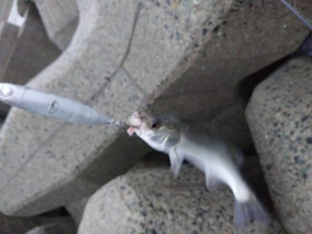 雨の中トップゲーム