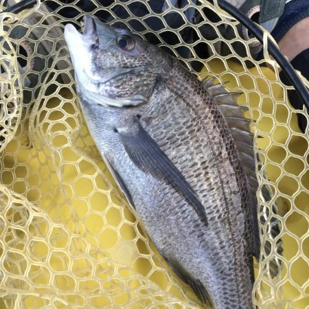 カヤックにRIDE ON!!