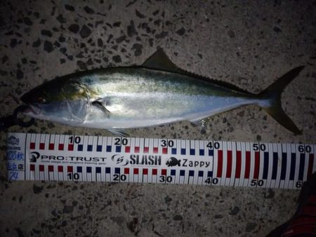 今朝もトップゲーム!!