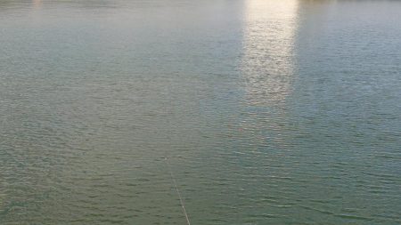 ヘダイ釣ったどー