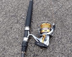 泳がせでネイゴ！