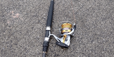 泳がせでネイゴ！