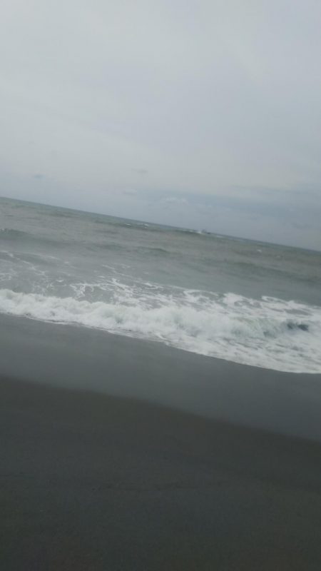 シャーク！！！