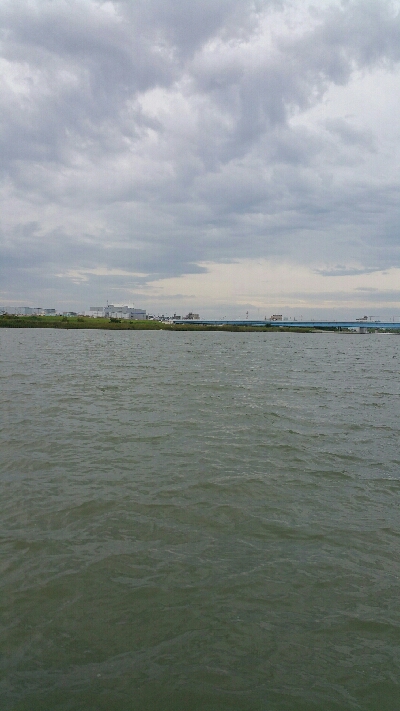 シーバスとスレ掛かりハクレン