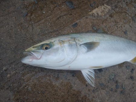 雨の中トップゲーム