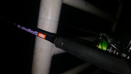 やっとタチウオ釣れた