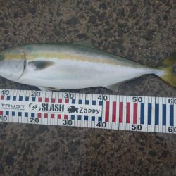 雨の中トップゲーム