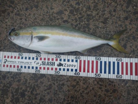 雨の中トップゲーム