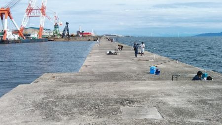 播磨新島へ３連投