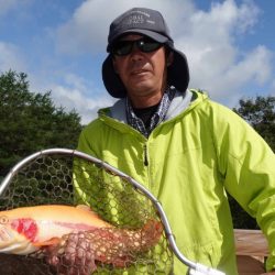 フィッシングレイクたかみや 釣果