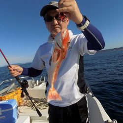 フィッシングボート空風(そらかぜ) 釣果