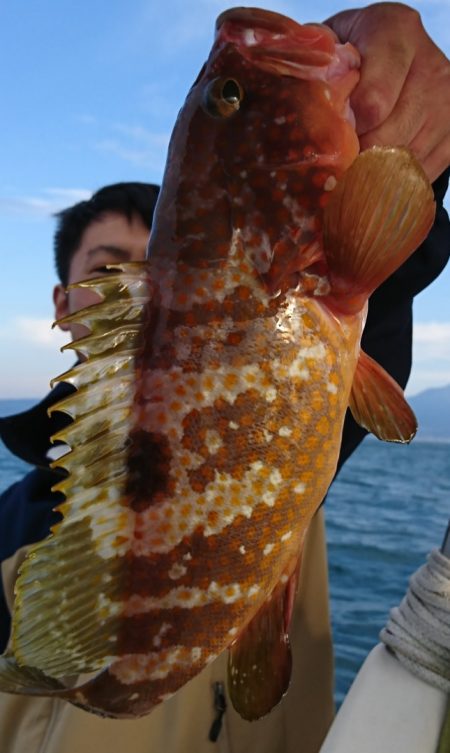 遊漁船　家入 釣果