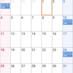 遊漁船 家入 釣果