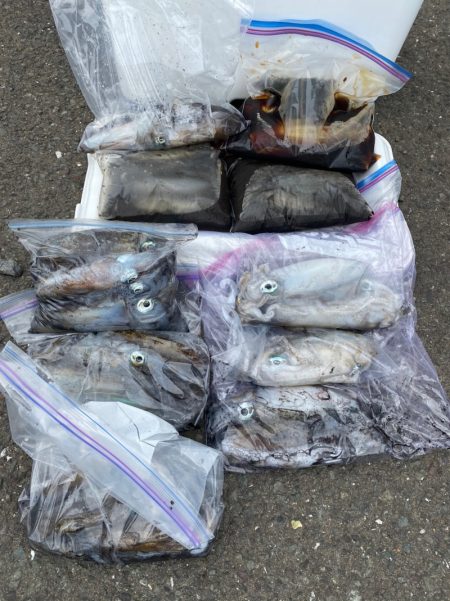 あみや渡船 釣果