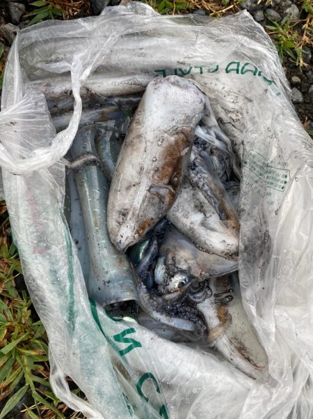 あみや渡船 釣果