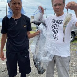 あみや渡船 釣果