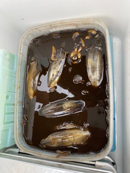 あみや渡船 釣果