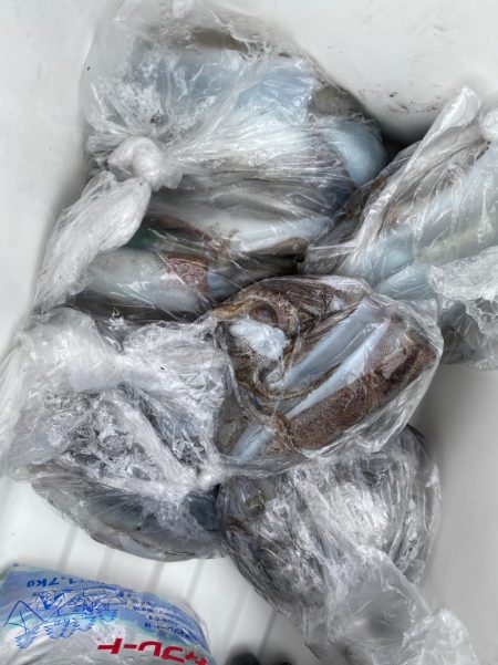 あみや渡船 釣果