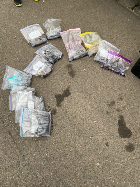 あみや渡船 釣果