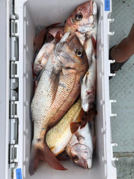 フィッシング キッタカ 釣果