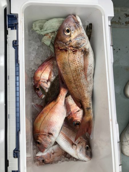 フィッシング キッタカ 釣果