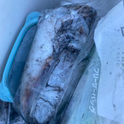 あみや渡船 釣果