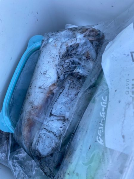 あみや渡船 釣果