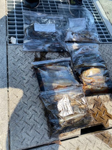 あみや渡船 釣果