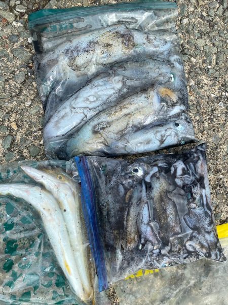 あみや渡船 釣果