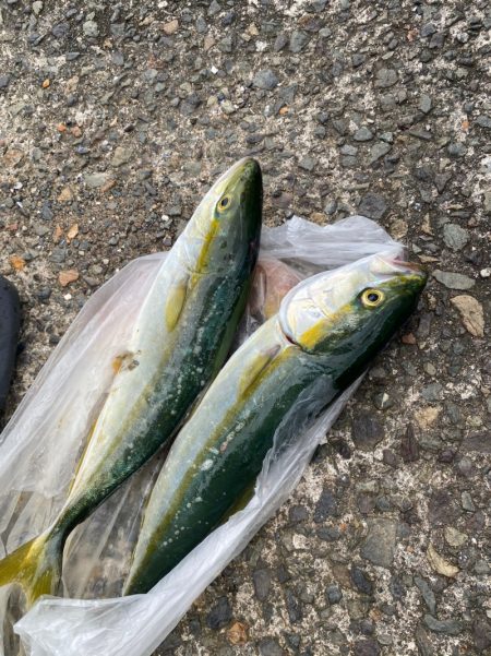 あみや渡船 釣果