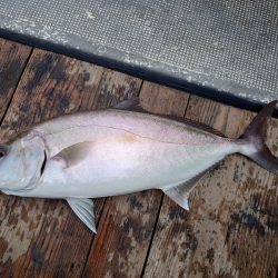 FISHING RISKY 釣果