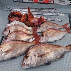 遊漁船 家入 釣果