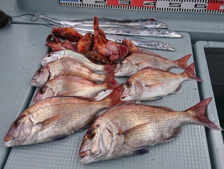 遊漁船 家入 釣果