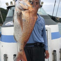 フィッシング キッタカ 釣果