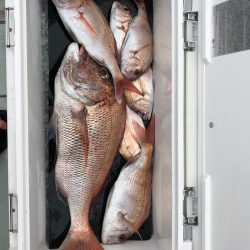 フィッシング キッタカ 釣果