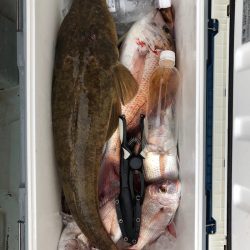 フィッシング キッタカ 釣果