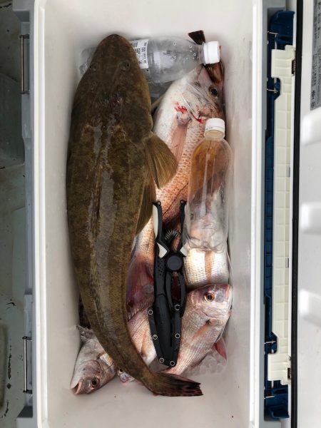 フィッシング キッタカ 釣果