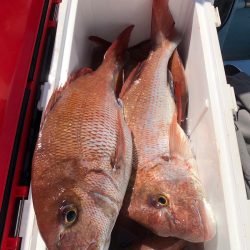 第二八坂丸 釣果