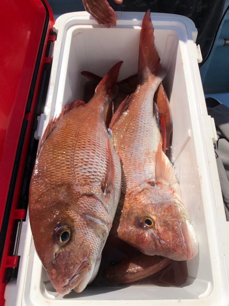 第二八坂丸 釣果