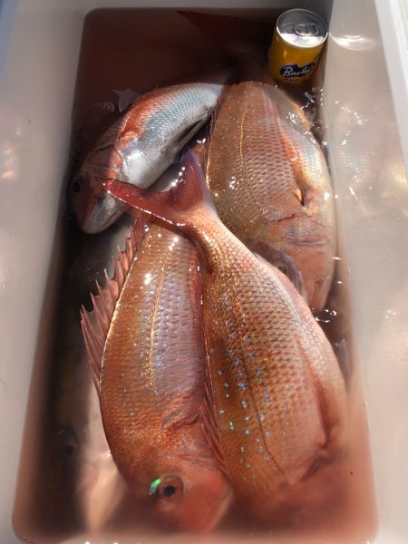 第二八坂丸 釣果