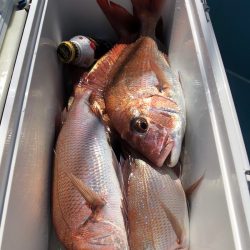 第二八坂丸 釣果