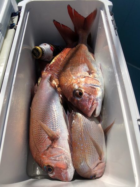 第二八坂丸 釣果