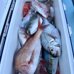 第二八坂丸 釣果