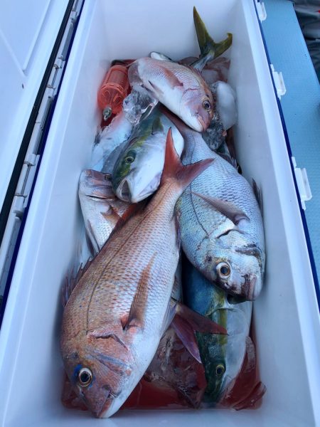 第二八坂丸 釣果