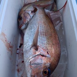 第二八坂丸 釣果