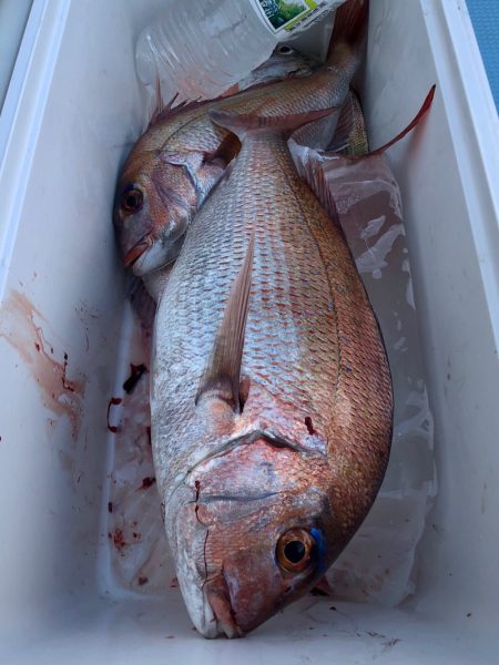 第二八坂丸 釣果