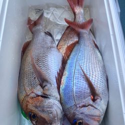 第二八坂丸 釣果