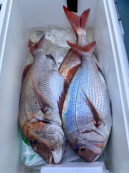 第二八坂丸 釣果